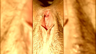 pulssy sow