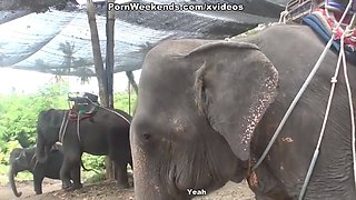 Blowjob as a punishment