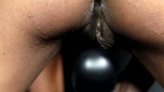 Madison - Petite bilingual immigrant solo