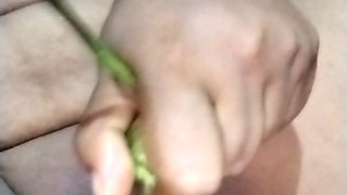 Sexy hungry bhabi masterbation Brinjal sex orgasm