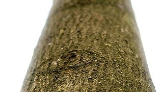 Beautiful Brunette Big Boobs Rides Fake Cock