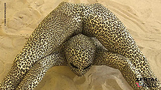Contortion Show