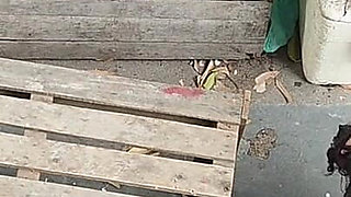 Hot Sex in the Backyard with Old Brooch