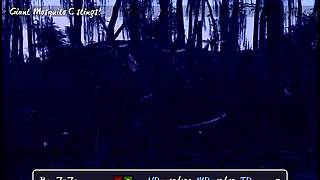 Fucking My Pregnant Stepsister in the Barn