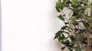 Step Sis Caught Me Fucking and Joined for a Threesome