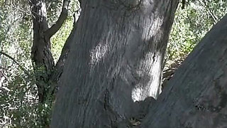 Blond innocent teen model masturbate in forest