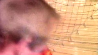 hot amateur milf giving blowjob and getting fucked
