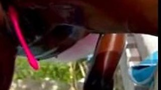 Hot Black Maid Does Some Webcam Black and Ebony