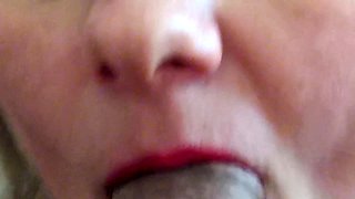 Amateur mature couple blowjob