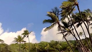Real amateurs naked outdoor beach orgy