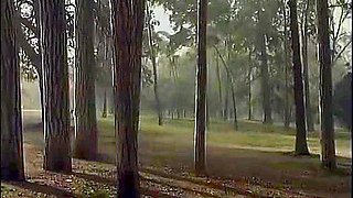 Dirty Woman 1 (1989) - Sarah Louise Young