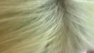 Lacey masturbates and then gives a blowjob and swallows