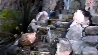 Leann amateur beautiful brunette with big boobs