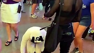 PLATINUM'S PATHETIC PET PUBLIC MUTT CRAWL FemDom