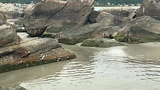 Beach Nudity Compilation
