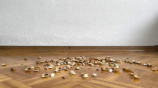 130kg Woman Walking on Pistachio Shells - Crunching Sounds