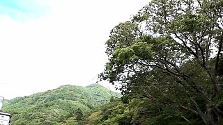 Mako Oda Asian beauty is a hot milf in amateur hardcore sex