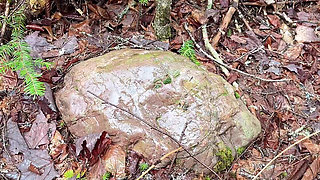 Pussy Pissing Water on the Rock