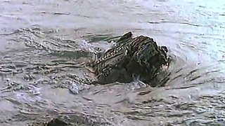 Brunette Teen Bondaged Outdoors