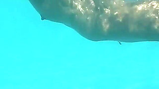 Under Water