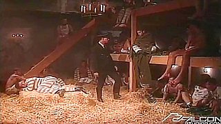 Captive Cocks Converge