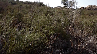 Amiee Black and the epic outdoor sex