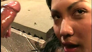 Curvy Asian with Round Booty Gets Hardcore Doggystyle During Interracial Session