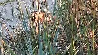 Couple Caught on Camera Having Sex on the Beach