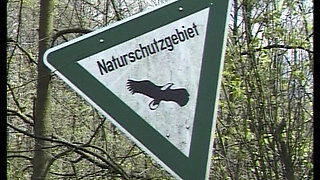 Amateur Teen From Germany Gets to Ride Cock