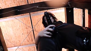 LadyPerse - You Will Be Our Cock Sucker