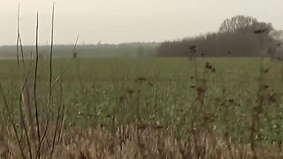 Secret Lillys Outdoor Fuck