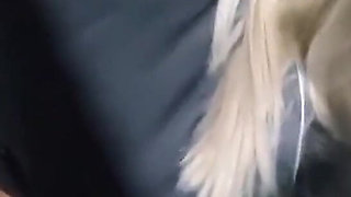 Flashing, Partying and Sucking Cock