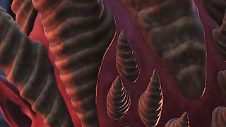 Lilith fucks hard her young sex slave in the dark castle