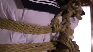 160-pjujuui-ayuy-roo-udr