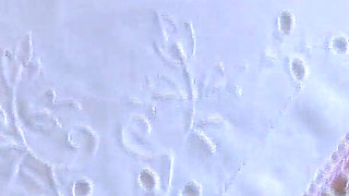 Your Day of Sniffing Vintage Handkerchiefs Part 2, Lady Victoria Valente