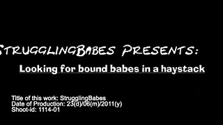 Looking for Bound Babes in a Haystack
