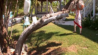 Angela White's Island Fever