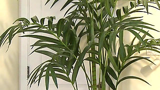 Her Young Boobs Make His Cock Hard