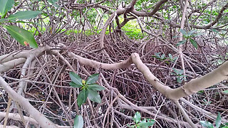 Caribbean Cruise with Sexy GILF MILF Candi Annie