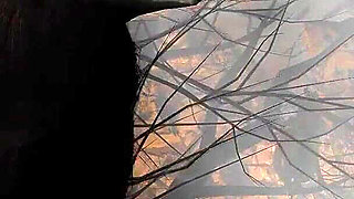 Monster Girl From the Deep Is Hunting in the Forest