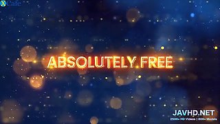 Compilation Of Hairy Japanese Milf Pussies