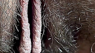 Wipe My Little Hairy, Dirty Girls