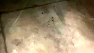 Public Parking Mall Sex With My Boss's Big-Ass Girl