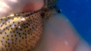 Can You Spot the Underwater Boobs?