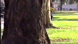 Interracial blowjob and cock riding for the babe