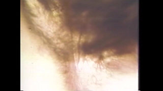 Disgusting Perverted Sucker