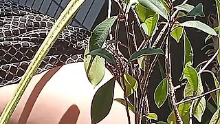 I Pee in the Potted Plant Again