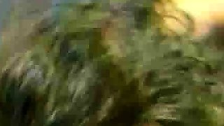 Outdoor hardcore blowjob and anal sex with blonde fuck siren