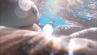 Three Some in the Pool