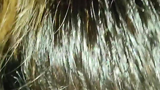 I Went for a Ride in the Car and I Felt Like Sucking His Cock